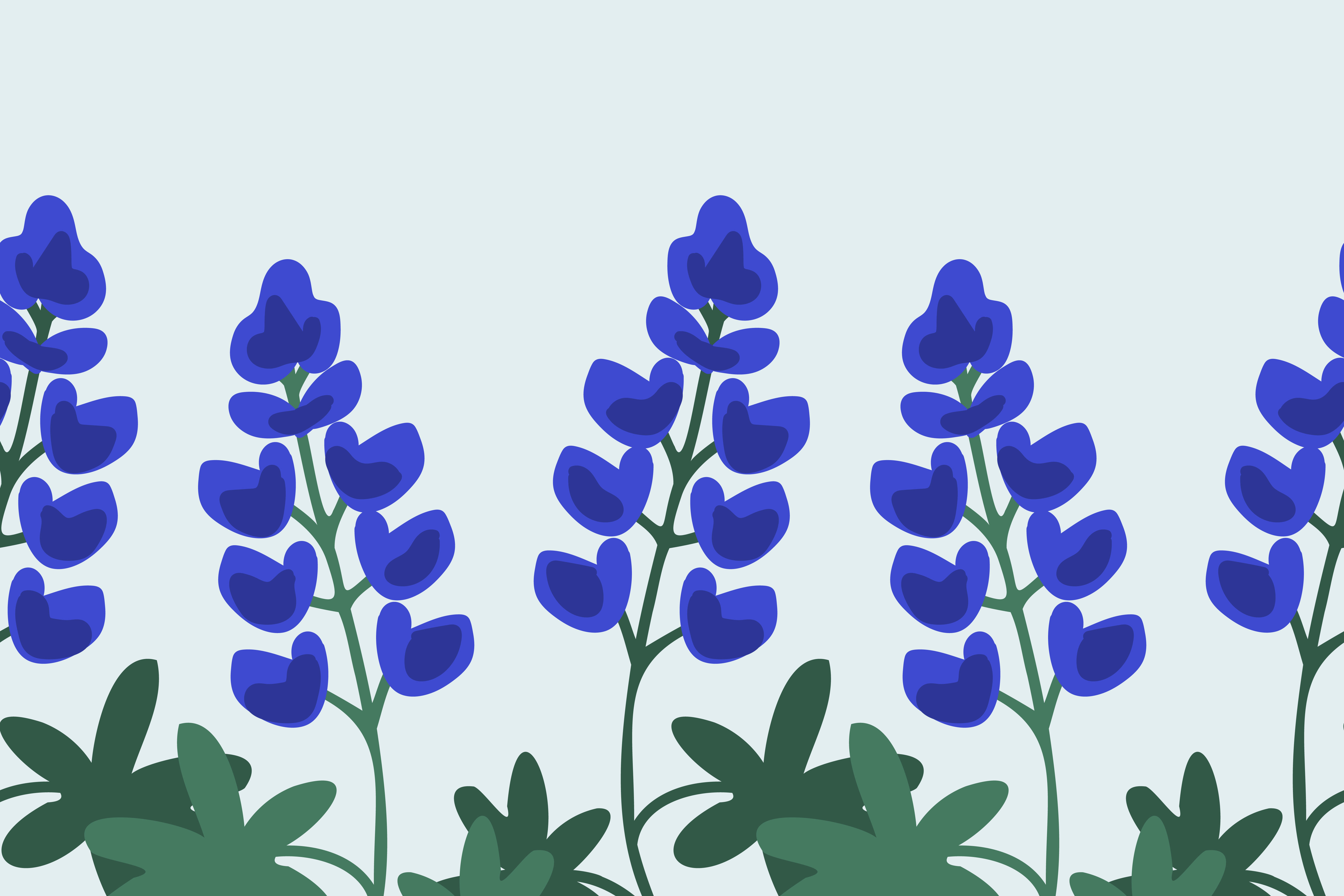 Bluebonnet Learning