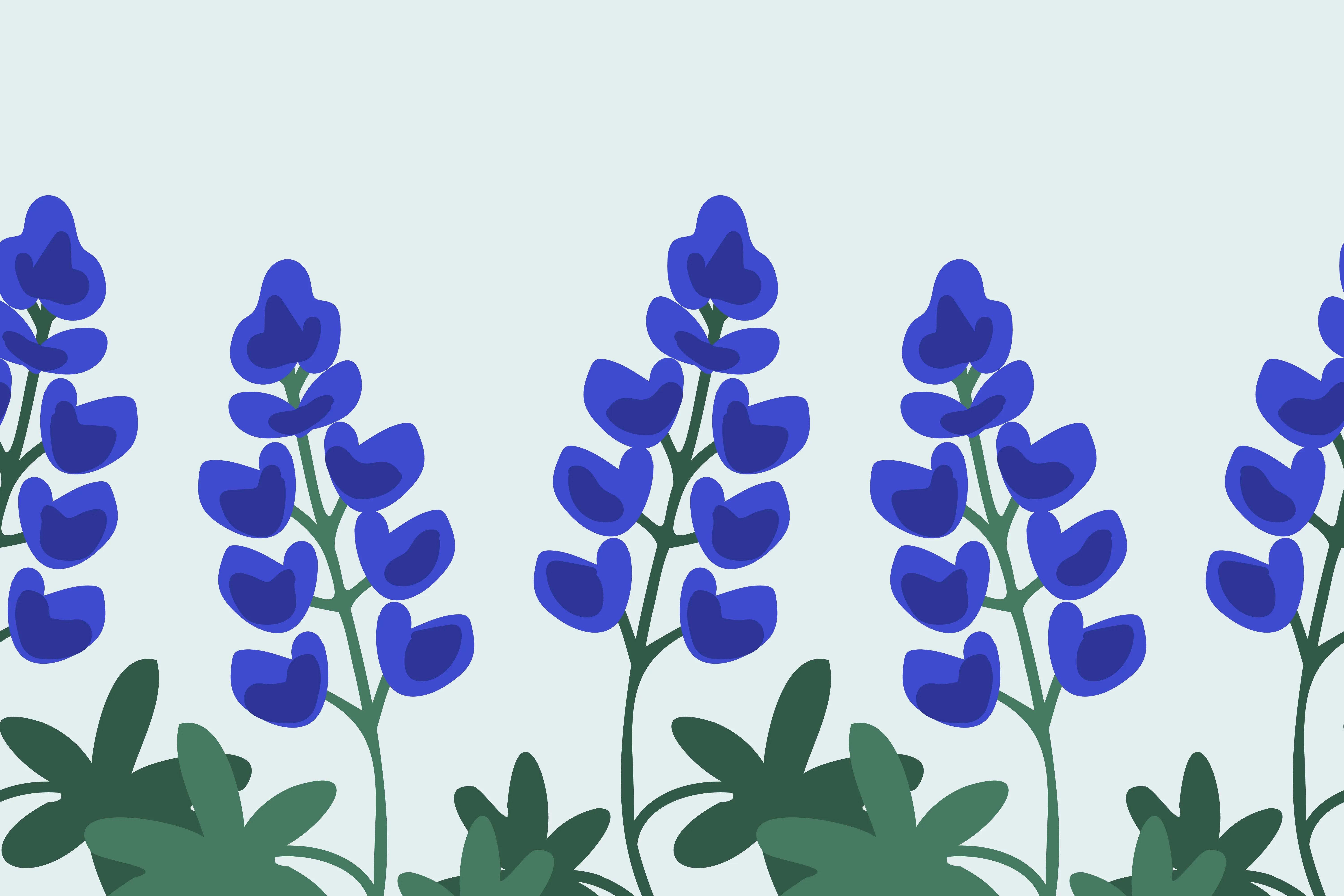 Bluebonnet Learning