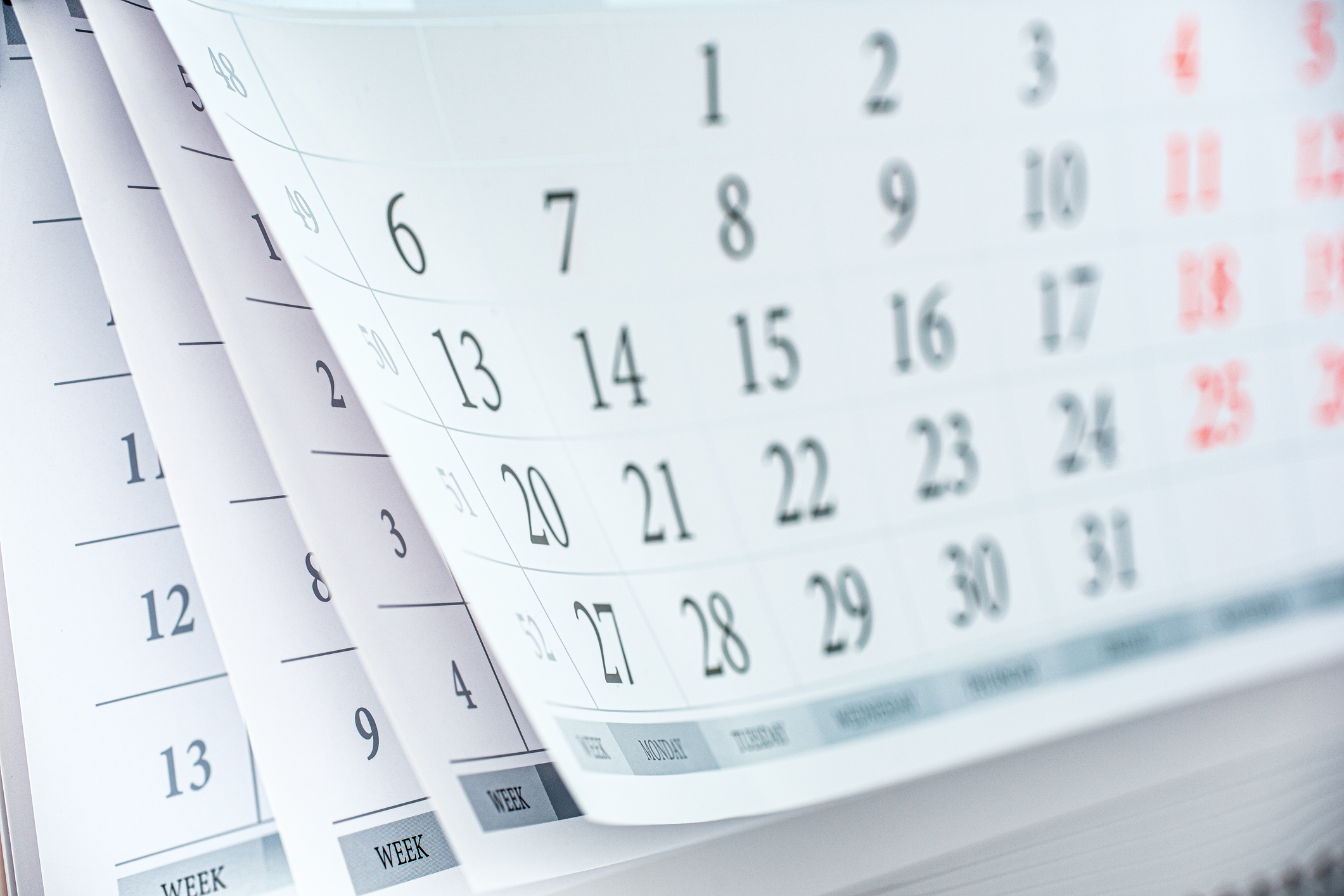 District Holiday Calendar